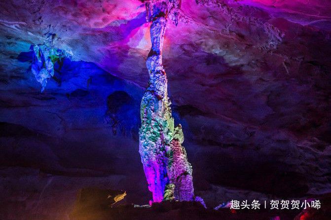 青海省第十四届人民代表大会第二次会议第二次全体会议召开